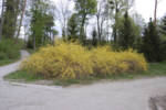 DSC 0060