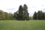 DSC 0160