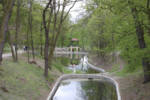 DSC 0311