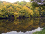 Autumn_wallpaper.jpg