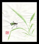 grasshopper44.jpg